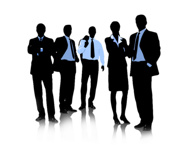 Projectsarena Experienced Team